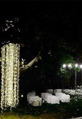 遍地星光，万家归属