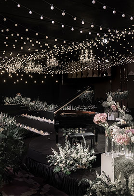 The brightest star in the night sky