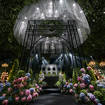 真实婚礼 | 时尚与自然碰撞，他们把森林搬进了室内宴会厅