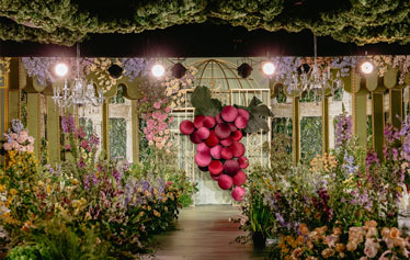 When the grapes are ripe