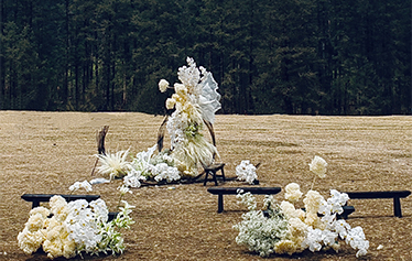 白雪飘，青山树