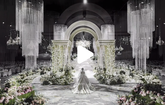 星映象年度视频合集