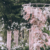 来自绿粉之间的少女心