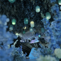 真实婚礼丨一场源于东方文化的浪漫表达