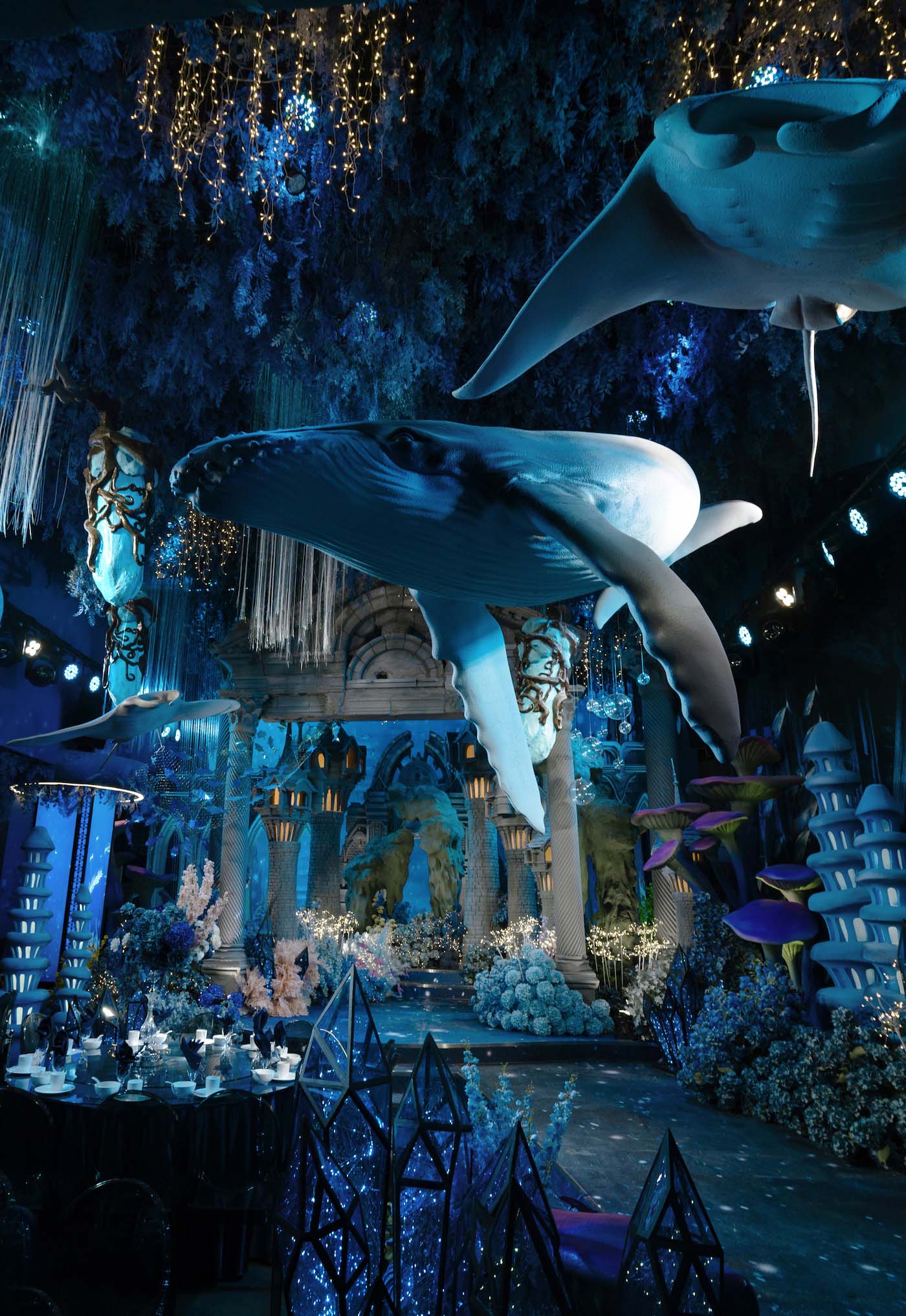 海底的童话世界