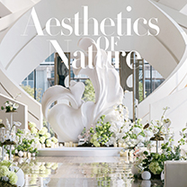 旋转楼梯下的自然野趣