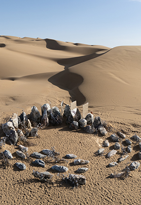 沙漠野奢美学婚礼