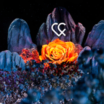 真实婚礼丨燃到爆！在火山口办的婚礼