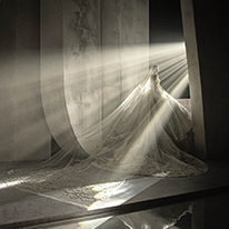 2023缪斯设计金奖 | 光影交叠,谱写自然与建筑和谐共语