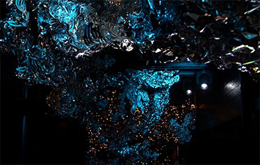 Caleb RAI′s Night Party