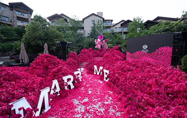 肯尼亚玫红色求婚