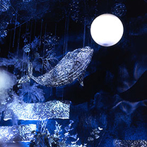 我们都曾是化身孤岛的鲸鱼 在52赫兹的歌声里终于等到你