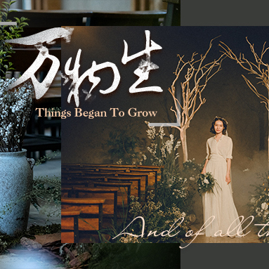 行业快报丨现在是苏醒的时候了，看VWONDER学院乘风破浪~