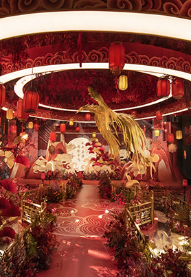 云中正荣，倩影于飞