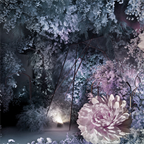 2019亚洲婚礼风尚盛典 | 花肆,不止是肆意绽放