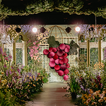 【葡萄熟了】| 来自安徒生童话里的芬芳恣意