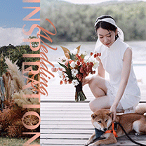 婚礼攻略 | 11.11 别再忙着剁手了,看看为你精选的这6场婚礼!