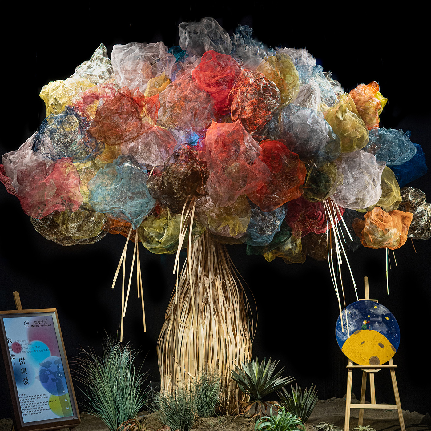 风尚活动 | 树与爱 | 孩子们,担心那些猴面包树呀!