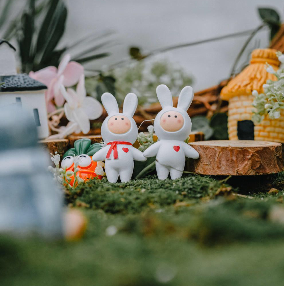 不二兔 | 兔子先生和兔子小姐一起度过漫长岁月