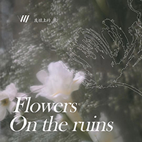 行业快报 |【Flowers on the ruins废墟上的花】告解禁锢一冬的活力