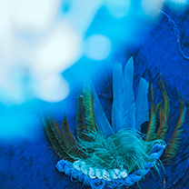 越雪山而来，悬翠色于庄湖之上