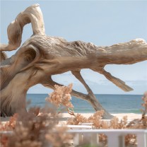 你说喜欢海风吹拂的感觉,我便送你整个夏天