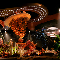 穿越星际世界,赴一场三体之约!