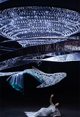 林深时见鹿，海蓝时见鲸