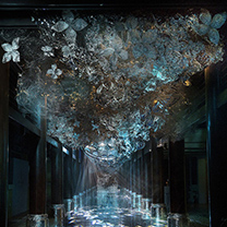 亚龙湾丽思卡尔顿·长廊 | 众星云集的Caleb RAI's Night Party，一场别开生面的大秀！