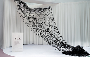 黑色生命力 / 你可曾见过我的黑色羽翼