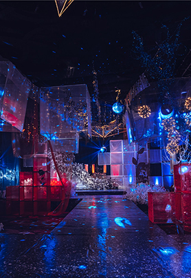 你从我的星空走