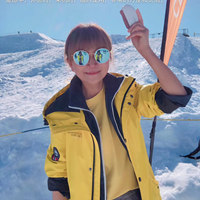 阿尔卑斯山上的攀登者