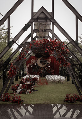 依循月光的占卜者