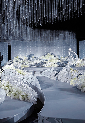 兔子八月的奇妙探险