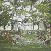 The glow of the forest | 普吉上、星火下、雨林中,执子之手,一眼永恒