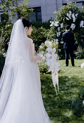 春日的光唤醒冬天的梦