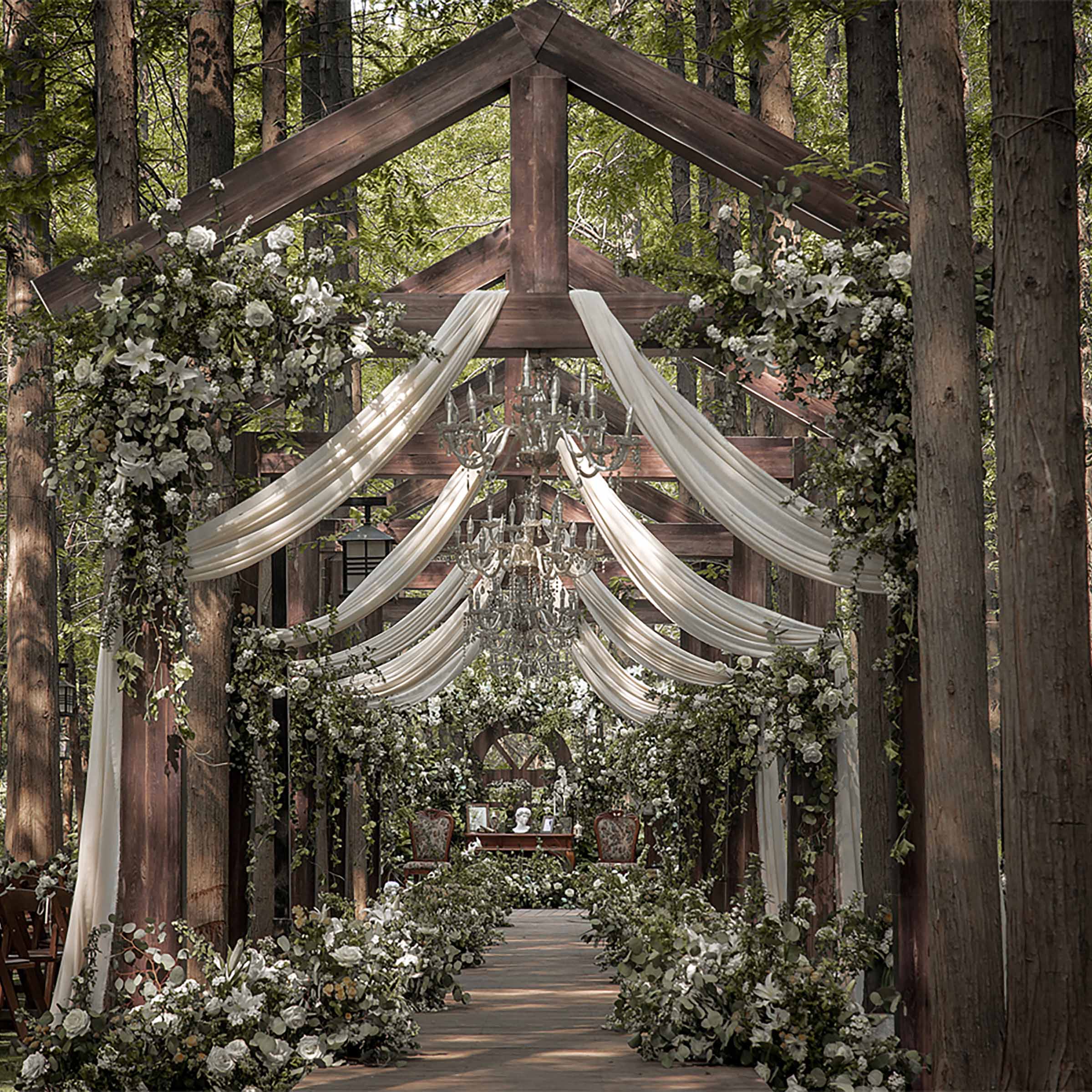 真实婚礼 | The Twilight Forest ,走入你35℃的夏天