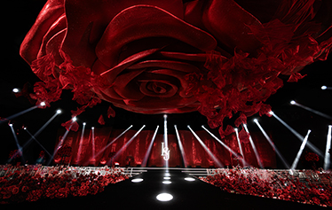 玫瑰无声 唯有爱震耳欲聋