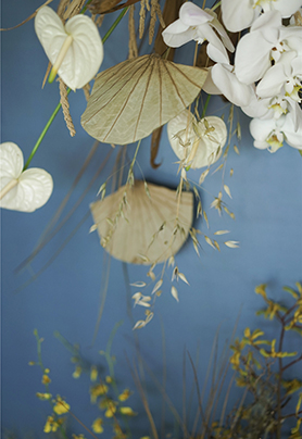 一场莫兰迪色家居感婚礼