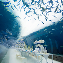 三亚海棠湾天房洲际 | 用硬实力定义目的地婚礼新体验 