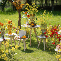 造记忆永恒的梦，做有温度的婚礼人