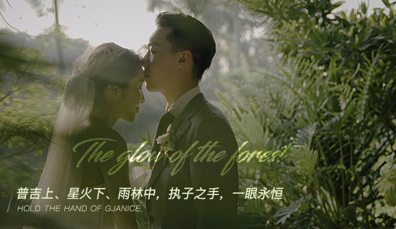 The glow of the forest