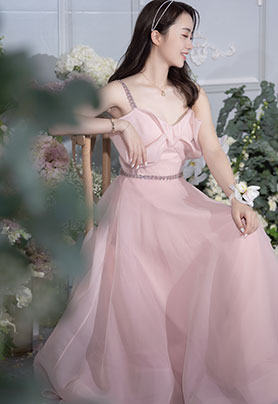 The brightest star in the night sky