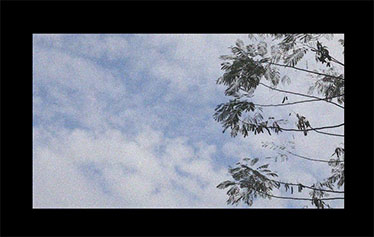 Roni + Stephanie 一个超长的婚礼快剪