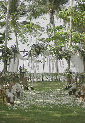 The glow of the forest