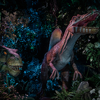 风尚活动 | 来自森林的沉浸式体验 | ALL LOVE IS LONG