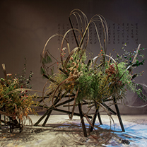 风尚活动 | 以自然的艺术形态，打造空寂幽玄的灵性之美