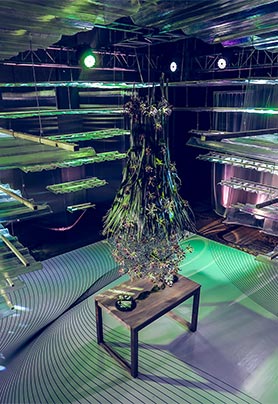 三亚美高梅度假酒店 <合>